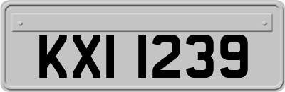 KXI1239