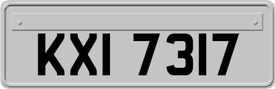 KXI7317