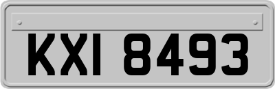 KXI8493