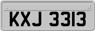 KXJ3313