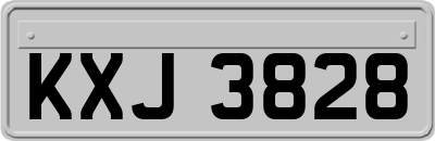 KXJ3828