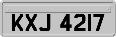 KXJ4217