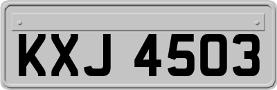 KXJ4503