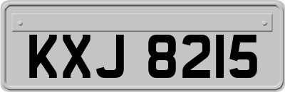 KXJ8215