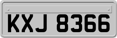 KXJ8366