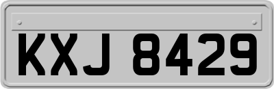 KXJ8429