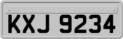 KXJ9234