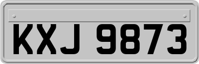 KXJ9873