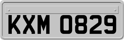 KXM0829
