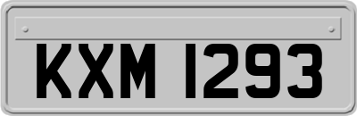 KXM1293