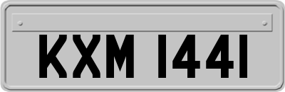 KXM1441