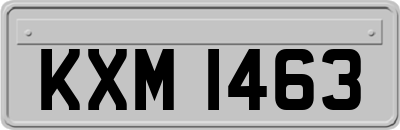 KXM1463