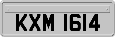 KXM1614