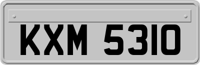 KXM5310