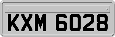 KXM6028