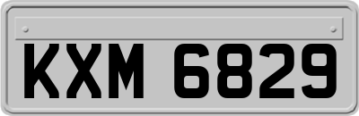 KXM6829