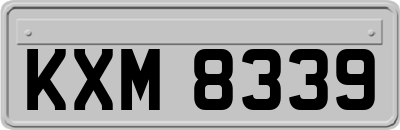 KXM8339