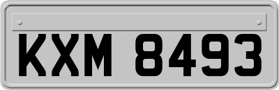 KXM8493