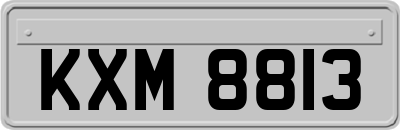 KXM8813