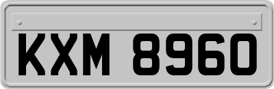 KXM8960
