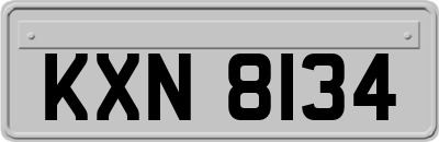 KXN8134