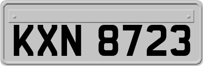 KXN8723