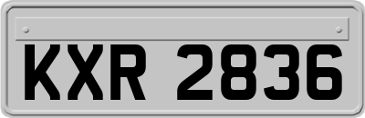 KXR2836