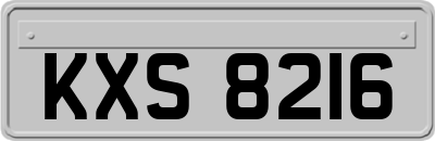 KXS8216