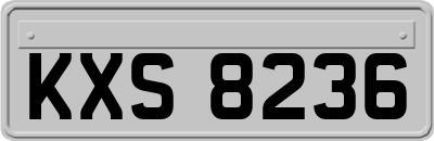 KXS8236