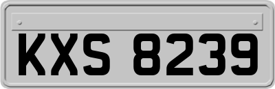 KXS8239