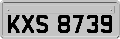 KXS8739