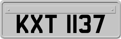 KXT1137