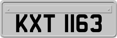 KXT1163