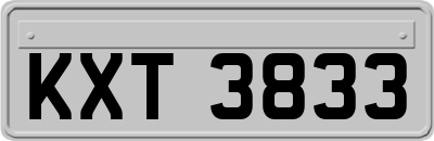 KXT3833