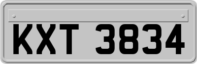 KXT3834