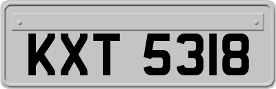 KXT5318