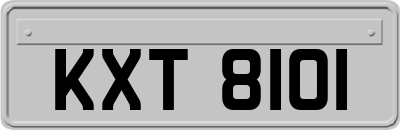 KXT8101