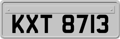 KXT8713