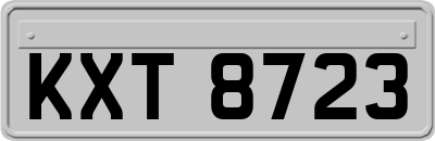 KXT8723