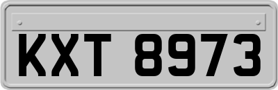 KXT8973