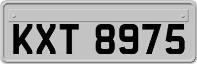 KXT8975