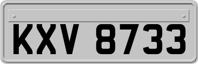 KXV8733