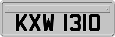 KXW1310