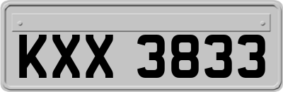 KXX3833