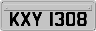 KXY1308