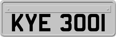 KYE3001