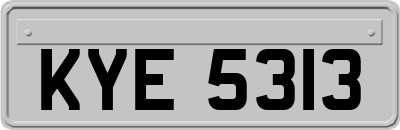 KYE5313