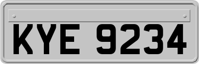 KYE9234