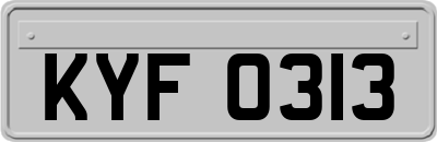 KYF0313