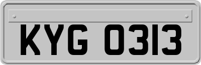 KYG0313